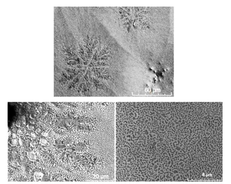 Backscattered electron images of a 3 micrometre evaporated Au80Sn20 film after 5 seconds at 300°C, showing dendritic crystals beside a finer eutectic.